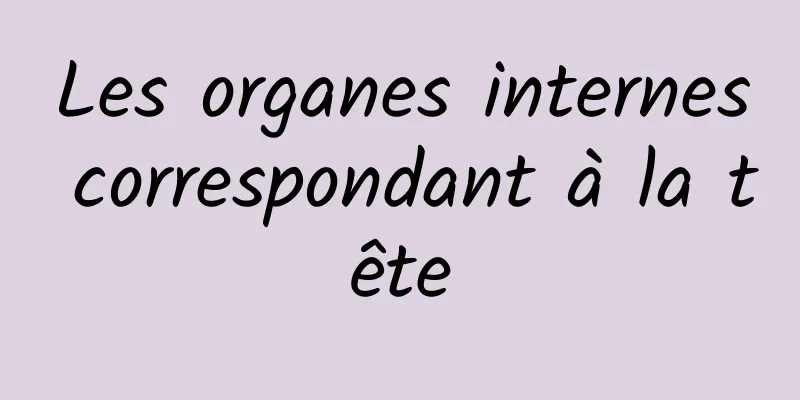 Les organes internes correspondant à la tête