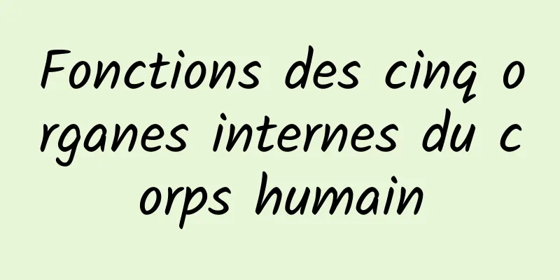 Fonctions des cinq organes internes du corps humain