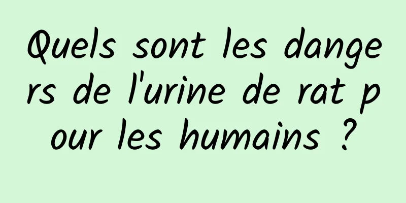 Quels sont les dangers de l'urine de rat pour les humains ?