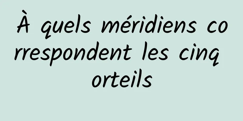 À quels méridiens correspondent les cinq orteils