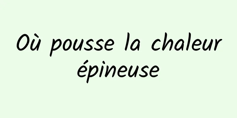 Où pousse la chaleur épineuse 