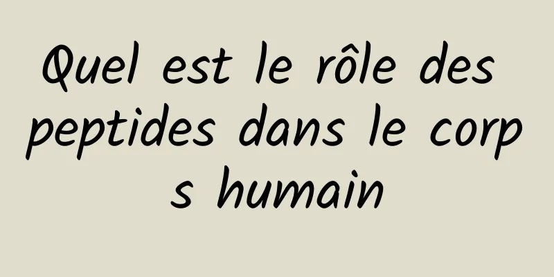 Quel est le rôle des peptides dans le corps humain