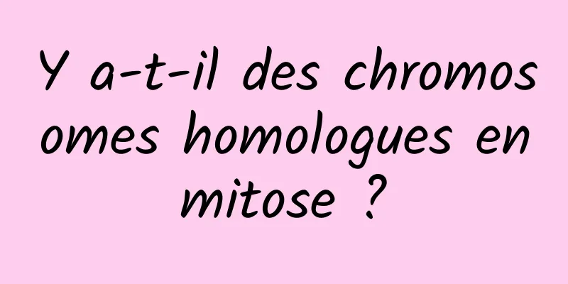 Y a-t-il des chromosomes homologues en mitose ? 