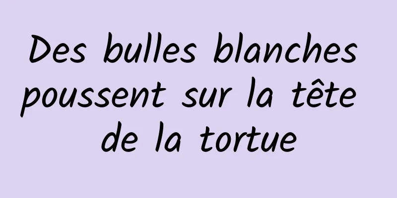 Des bulles blanches poussent sur la tête de la tortue