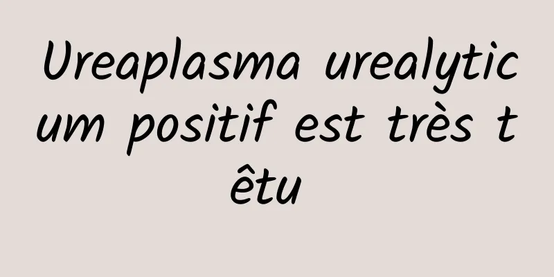 Ureaplasma urealyticum positif est très têtu 