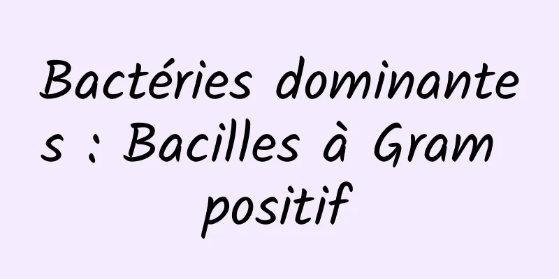 Bactéries dominantes : Bacilles à Gram positif