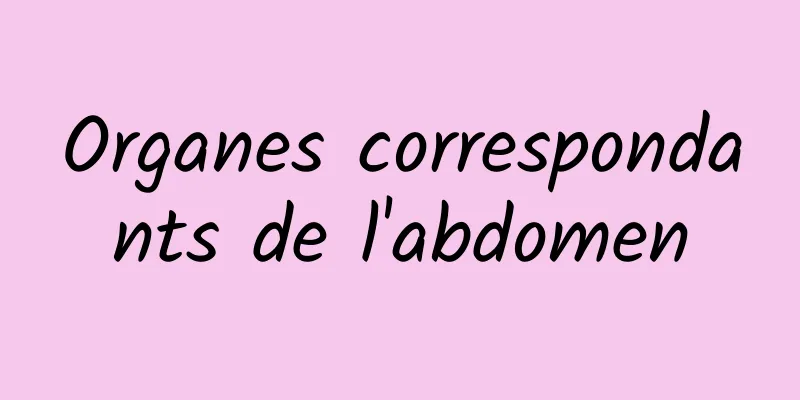 Organes correspondants de l'abdomen