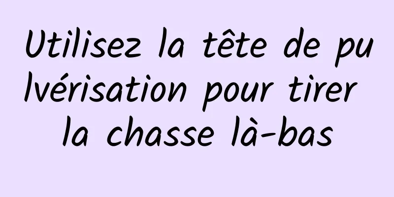 Utilisez la tête de pulvérisation pour tirer la chasse là-bas