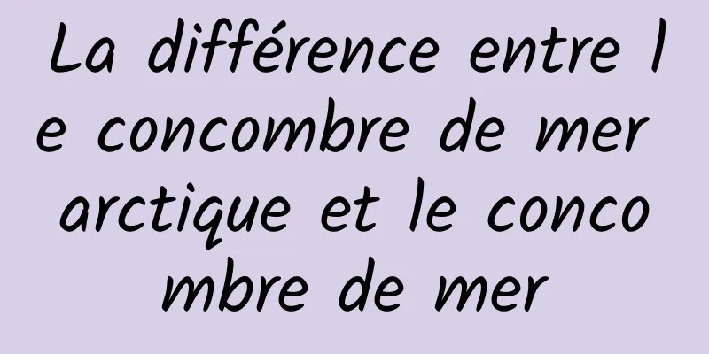 La différence entre le concombre de mer arctique et le concombre de mer