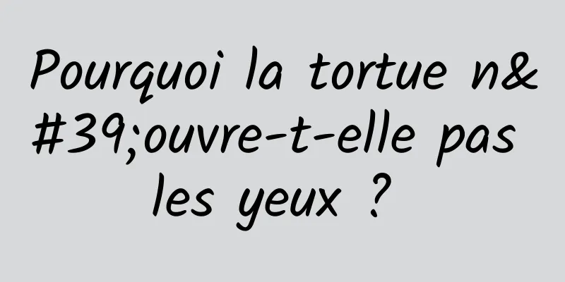 Pourquoi la tortue n'ouvre-t-elle pas les yeux ? 