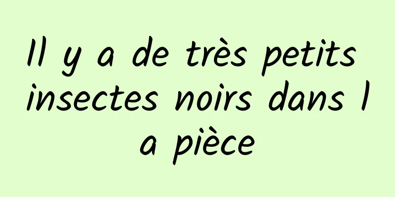 Il y a de très petits insectes noirs dans la pièce