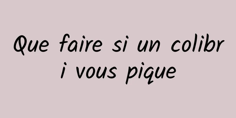 Que faire si un colibri vous pique