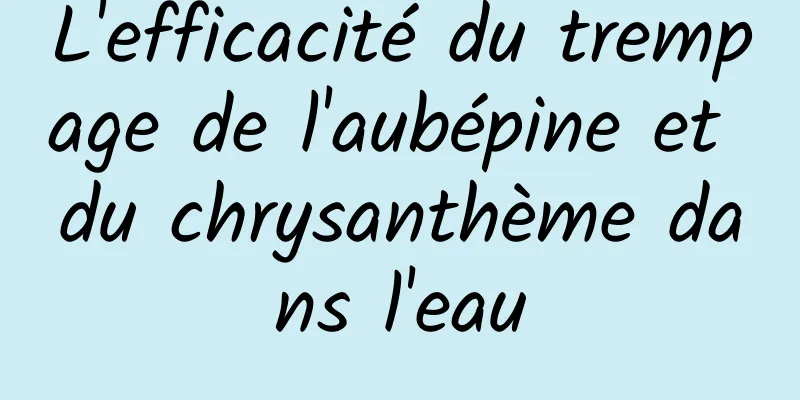 L'efficacité du trempage de l'aubépine et du chrysanthème dans l'eau