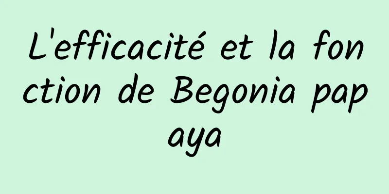 L'efficacité et la fonction de Begonia papaya