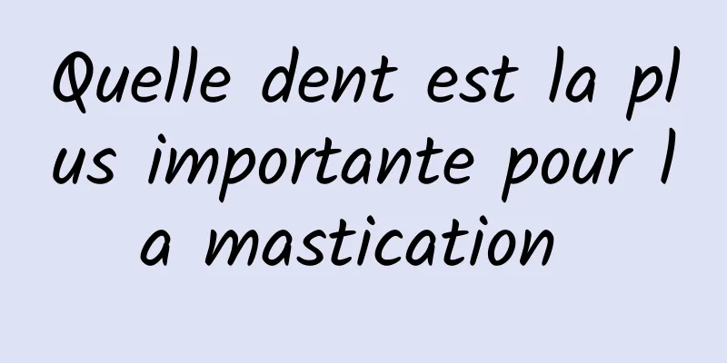 Quelle dent est la plus importante pour la mastication 