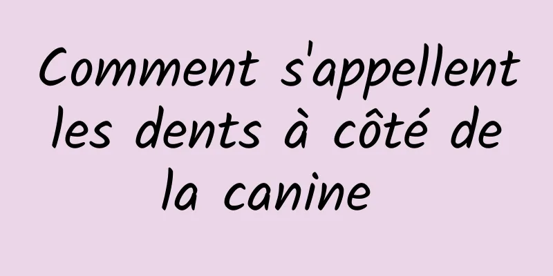 Comment s'appellent les dents à côté de la canine 