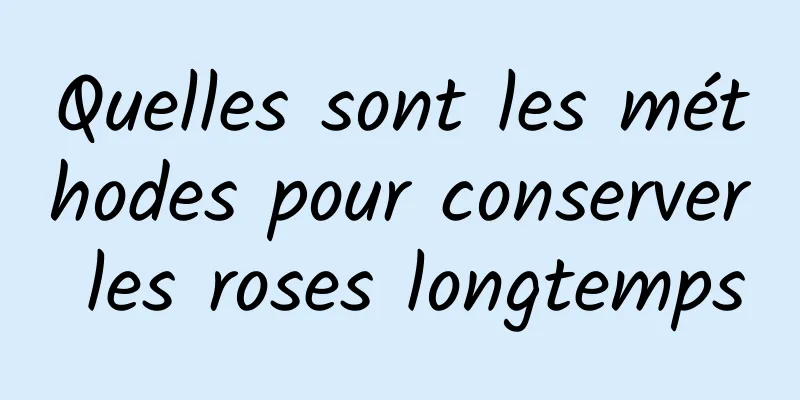 Quelles sont les méthodes pour conserver les roses longtemps