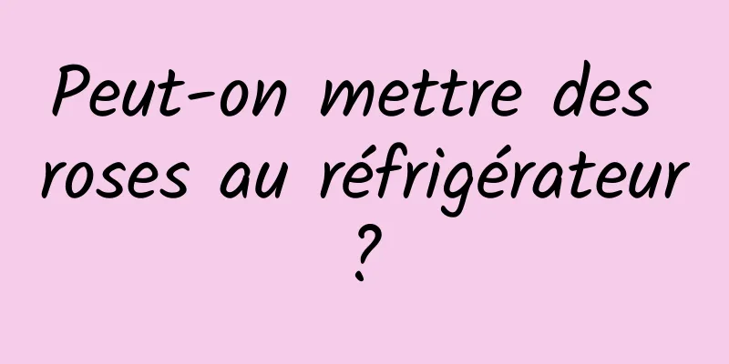 Peut-on mettre des roses au réfrigérateur ? 