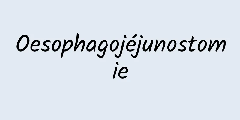 Oesophagojéjunostomie