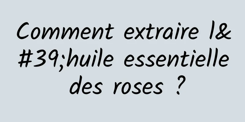 Comment extraire l'huile essentielle des roses ?