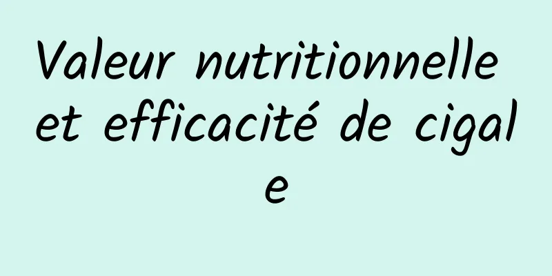 Valeur nutritionnelle et efficacité de cigale