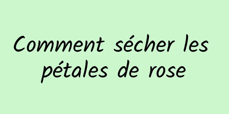 Comment sécher les pétales de rose