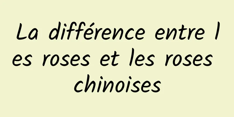 La différence entre les roses et les roses chinoises