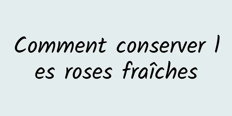 Comment conserver les roses fraîches