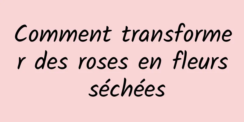 Comment transformer des roses en fleurs séchées