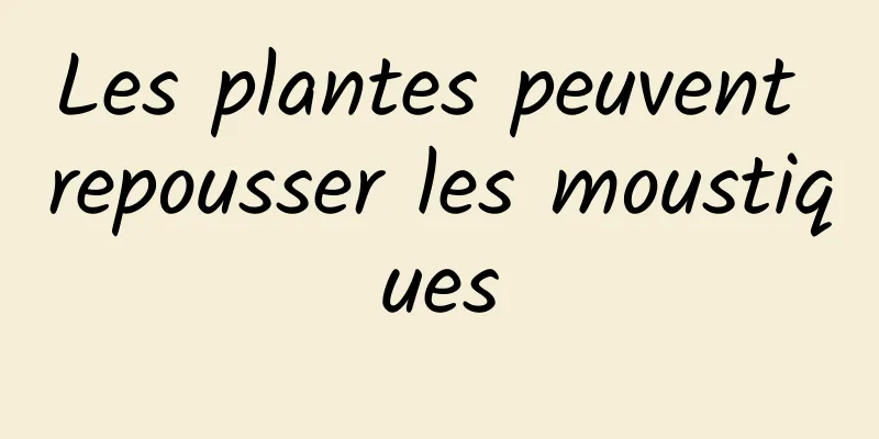 Les plantes peuvent repousser les moustiques