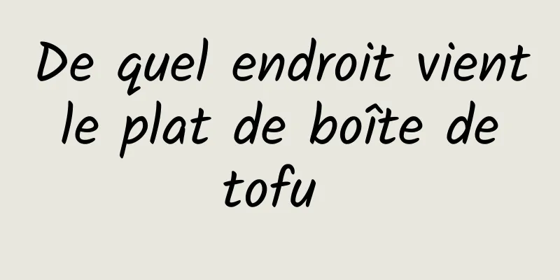 De quel endroit vient le plat de boîte de tofu 