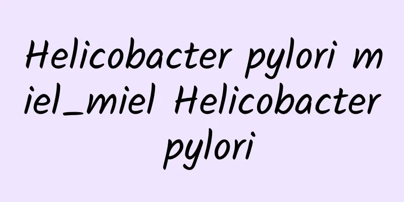 Helicobacter pylori miel_miel Helicobacter pylori