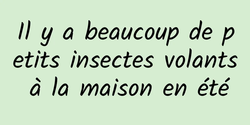 Il y a beaucoup de petits insectes volants à la maison en été