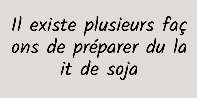 Il existe plusieurs façons de préparer du lait de soja