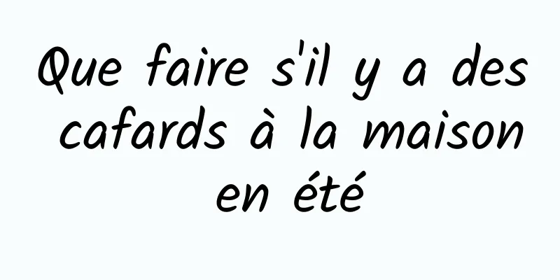 Que faire s'il y a des cafards à la maison en été