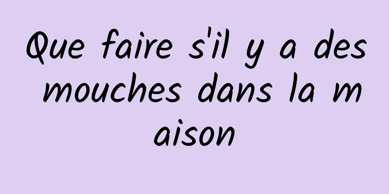 Que faire s'il y a des mouches dans la maison