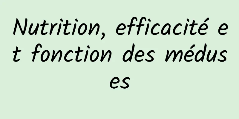 Nutrition, efficacité et fonction des méduses