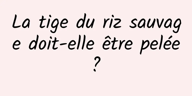 La tige du riz sauvage doit-elle être pelée ? 