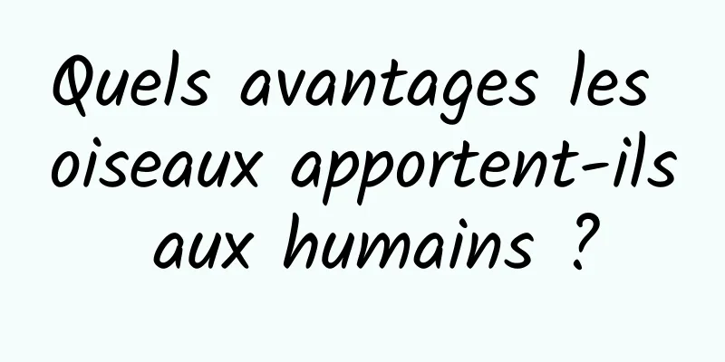 Quels avantages les oiseaux apportent-ils aux humains ?