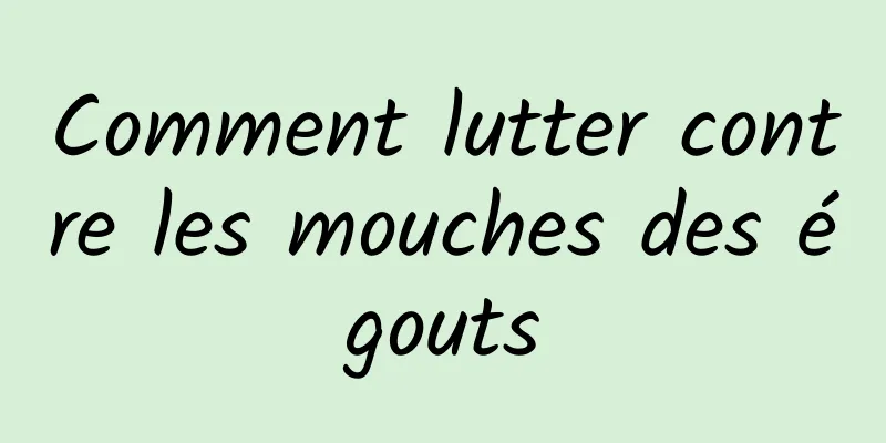 Comment lutter contre les mouches des égouts