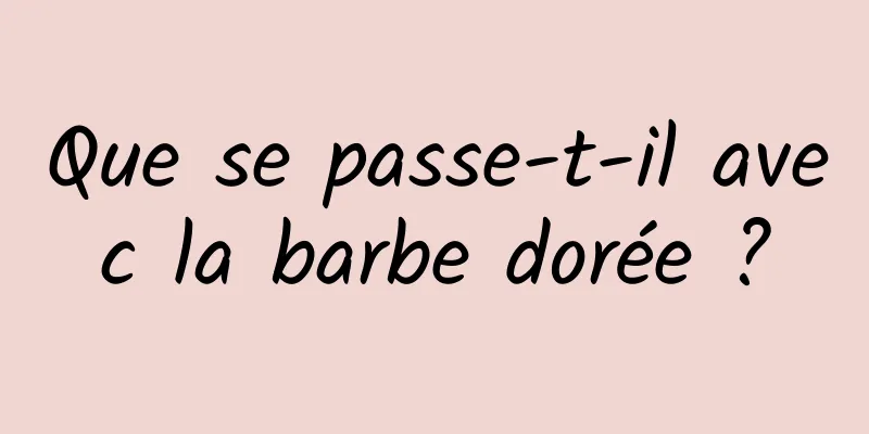 Que se passe-t-il avec la barbe dorée ?