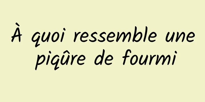 À quoi ressemble une piqûre de fourmi