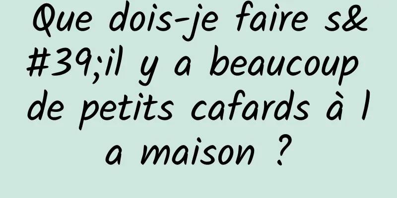 Que dois-je faire s'il y a beaucoup de petits cafards à la maison ?