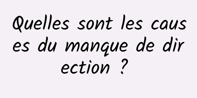 Quelles sont les causes du manque de direction ? 