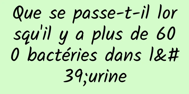 Que se passe-t-il lorsqu'il y a plus de 600 bactéries dans l'urine