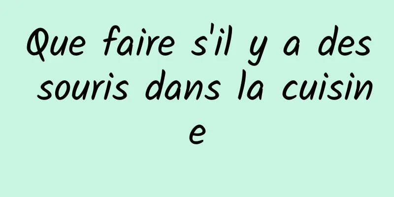 Que faire s'il y a des souris dans la cuisine