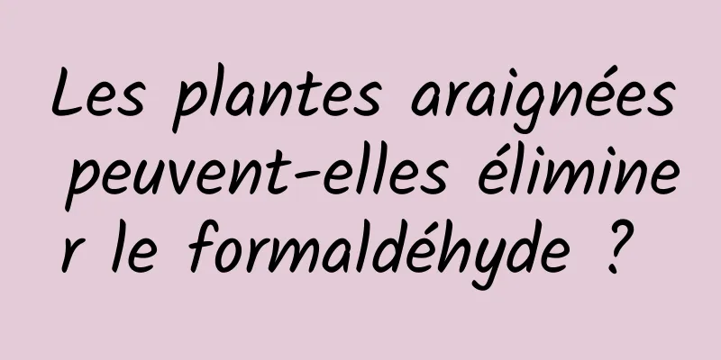 Les plantes araignées peuvent-elles éliminer le formaldéhyde ? 