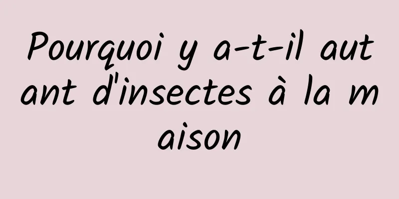 Pourquoi y a-t-il autant d'insectes à la maison