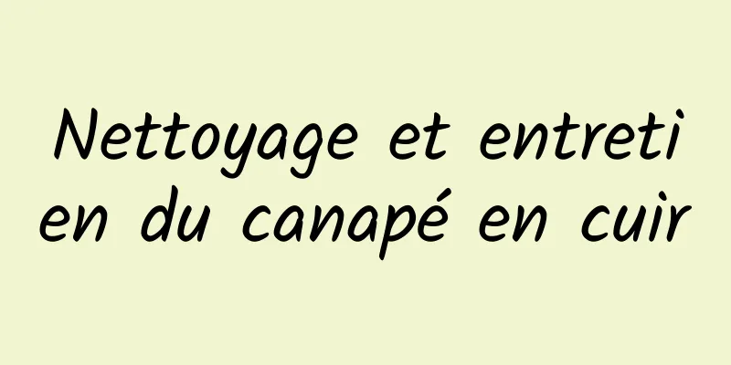 Nettoyage et entretien du canapé en cuir