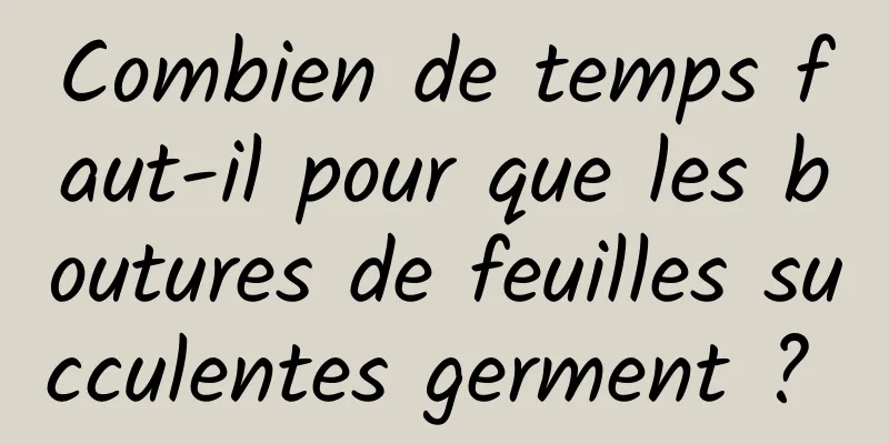 Combien de temps faut-il pour que les boutures de feuilles succulentes germent ? 